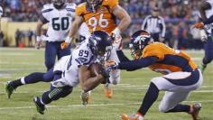 Super Seahawks walking in a Winter Wonderland