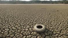 California drought will cost thousands of farm jobs: study
