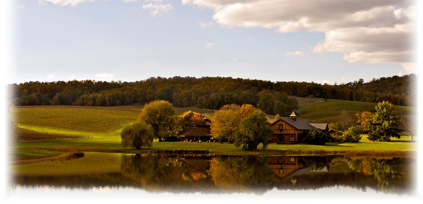 Trump Vineyard Estates – Blue Ridge Mountains in Charlottesville, Virgina