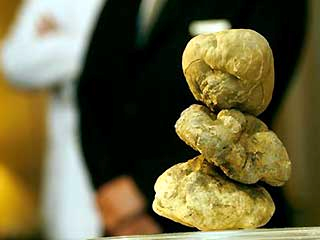 White Truffle – From $3,000 a pound to as much as $23,750 a pound