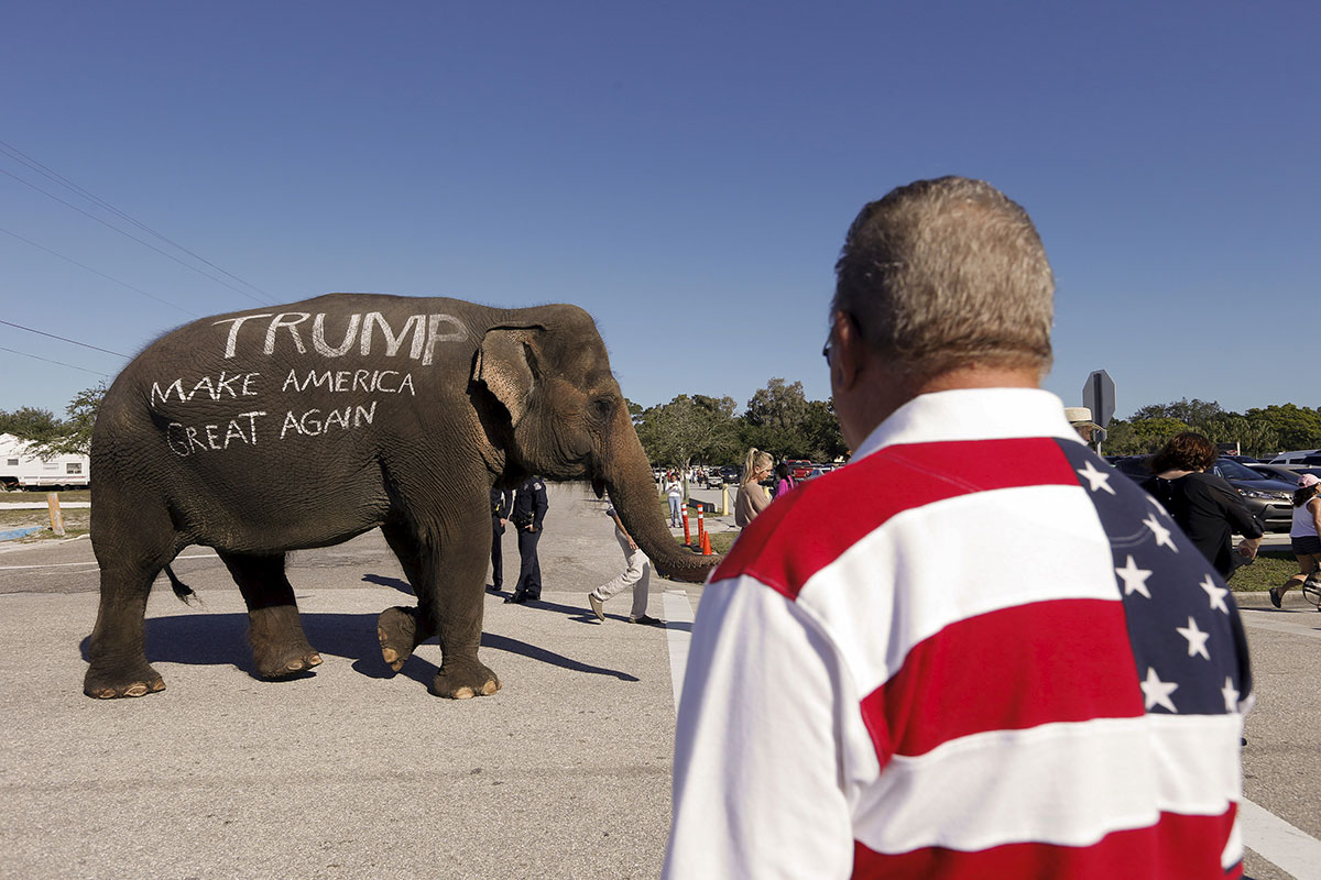 U.S. Republican presidential candidate Donald Trump supporters parade an elephant in front of a rally in Sarasota, Florida