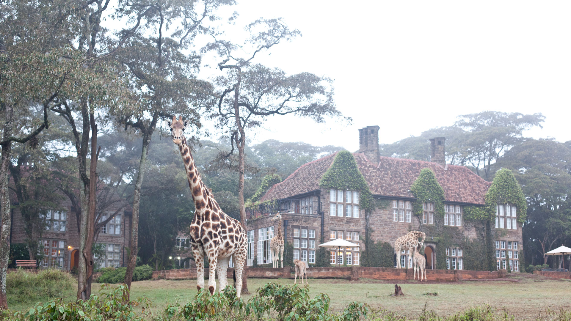 The Giraffe Manor (Nairobi, Kenya)