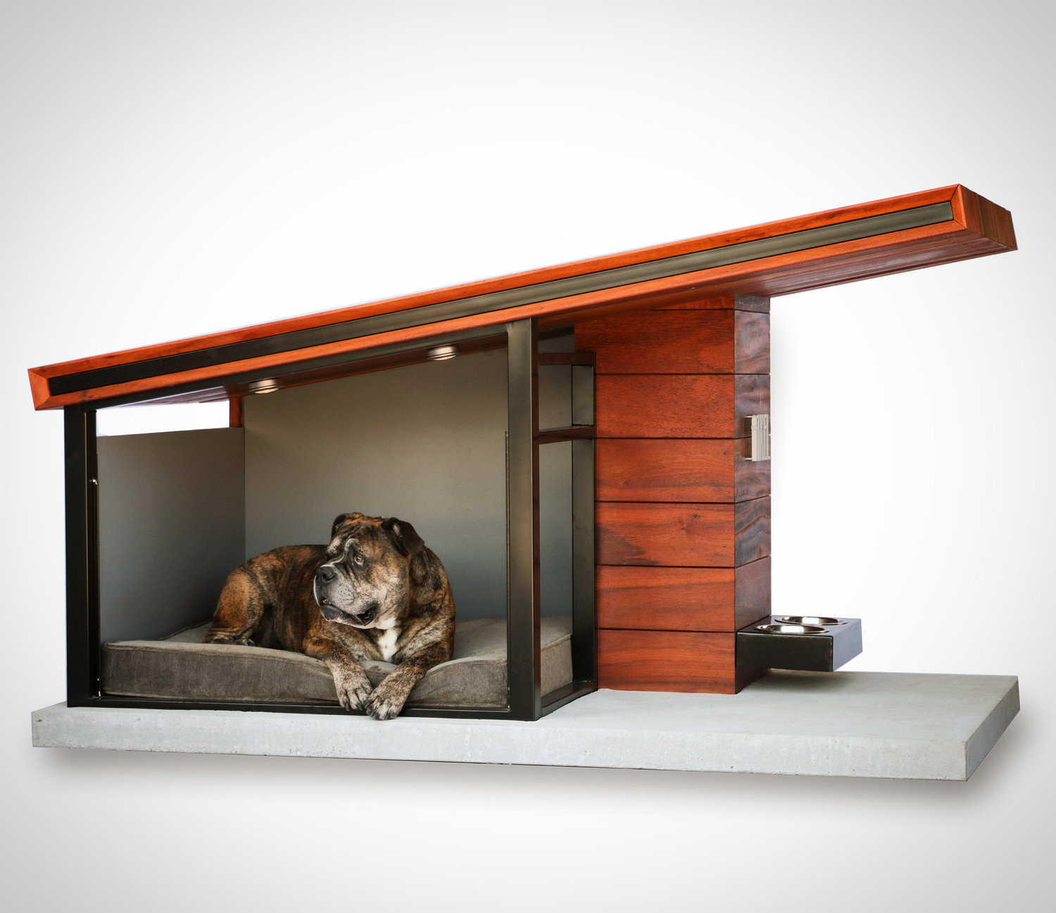 Dog Haus - $3,650