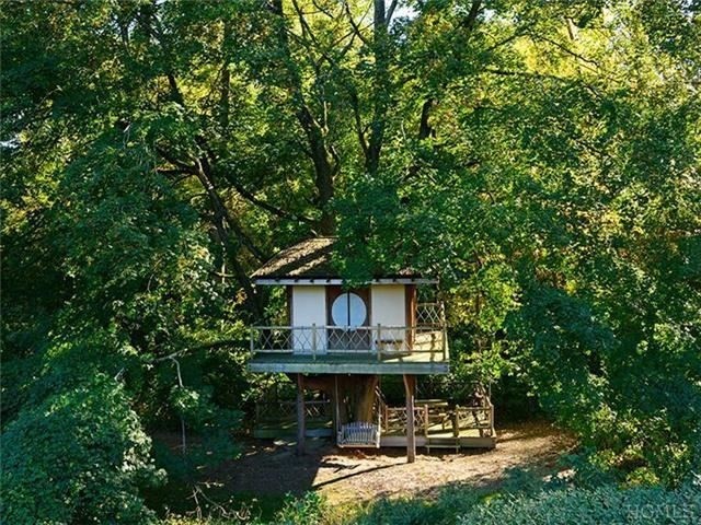 Luxury Tree House