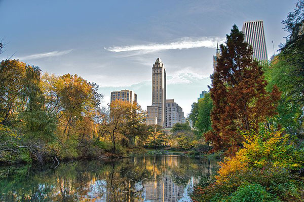 		&lt;p&gt;It will take the 26,000 trees in Central Park &lt;b&gt;769 years&lt;/b&gt; to produce a trillion leaves.&lt;/p&gt;