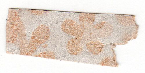 		<p>This bit of wallpaper is taken straight from Petersen House, where Lincoln died.</p>