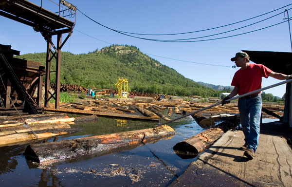 		<p> <strong>BLS National Salary Median</strong>: $32,870<br /><strong>Projected Job Growth</strong>: 4%<br /> <br /><br /> The inherent danger of working with heavy machinery in remote locations, coupled with low pay and poor job prospects, ranks lumber