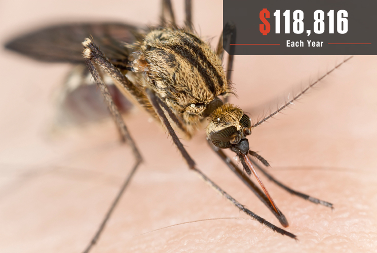 California certainly has no shortage of gold-plated pension plans, but another thing the state apparently needs to spend big bucks on is mosquito control. Of the myriad six-figure pensions, perhaps the most surprising was in San Joaquin county—a member of