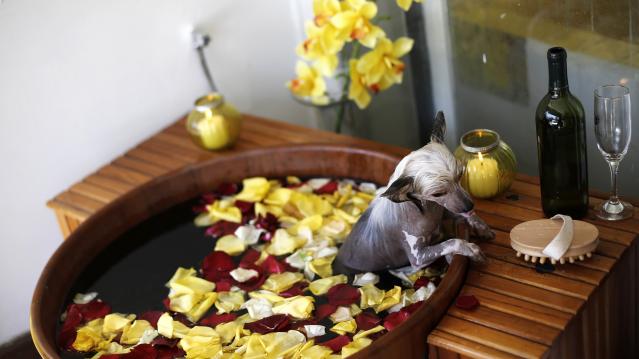 They get rose petal baths at the spa