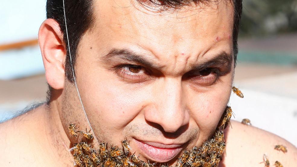 Egyptian Man Grows Beard Of Bees Hopes To Promote Apian Benefits The Fiscal Times