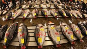 Inception Date: &lt;strong&gt;May 3, 2011&lt;/strong&gt;&lt;br/&gt;Net assets: &lt;strong&gt;$1.8 million&lt;/strong&gt;&lt;br/&gt;Global X suggests that the fish trade is likely to increase in coming years as diets around the world continue to add more protein. This young fund tracks an in