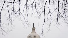 The U.S. Capitol is seen in Washington