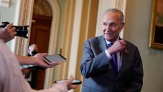 Senate Majority Leader Chuck Schumer (D-NY) speaks to reporters at the U.S. Capitol in Washington
