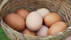Refrigerated Fresh Eggs