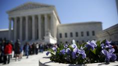 Spring flowers bloom in front of U.S. Supreme Court after split 4-4 decision in first major case after Scalia death in Washington