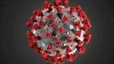 FILE PHOTO: An illustration, created at the Centers for Disease Control and Prevention (CDC), depicts the 2019 Novel Coronavirus