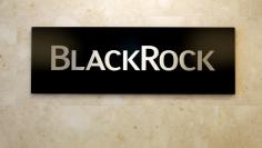 FILE PHOTO: BlackRock logo is seen at the BlackRock Japan headquarters in Tokyo