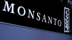 FILE PHOTO - Monsanto logo is displayed on a screen where the stock is traded on the floor of the New York Stock Exchange (NYSE) in New York City, U.S. on May 9, 2016. REUTERS/Brendan McDermid/File Photo