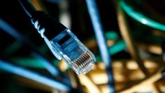 An internet cable is seen at a server room in this picture illustration taken in Warsaw