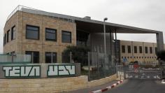 Teva plant is seen in Jerusalem