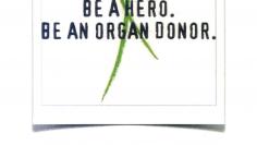 The cover of the marketing brochure for Donor Service Inc. is pictured