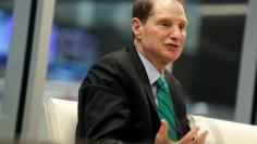 Senator Ron Wyden (D-OR) speaks with Reuters during an interview in Washington