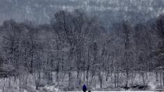 A man and dog walk in the falling snow in Rockland Lake State Park near the Hudson River in Clarkstown, New York.
REUTERS/Mike Segar