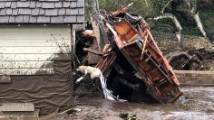 A search dog looks for victims in damaged homes after a mudslide in Montecito, California, U.S. in this photo provided by the Santa Barbara County Fire Department, January 9, 2018.   Mike Eliason/Santa Barbara County Fire Department/Handout via REUTERS  