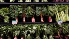 FILE PHOTO: Vegetables for sale are pictured inside a Whole Foods Market in the Manhattan borough of New York City, New York, U.S. June 16, 2017.   REUTERS/Carlo Allegri 