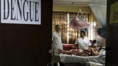 Insight: Dengue vaccine in sight, after 70 years