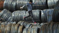 WTO backs U.S. in case against China duties on steel