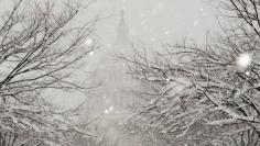 		<p>Heavy snow falls on the grounds of the US Capitol as snow blankets Washington, February 6, 2010. A blizzard producing heavy snow and powerful winds pummeled the U.S. mid-Atlantic on Saturday, causing at least two fatalities and paralyzing travel in t