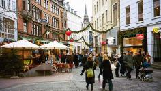 		<p>Study tours are a big portion of the Denmark Studies Program. Students can go on a number of excursions that are included in their tuition. This includes visiting European Union institutions, headquarters of multinational companies, marine research c